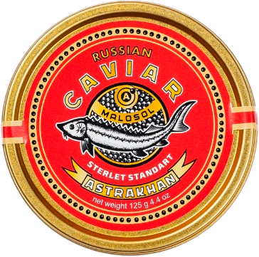 Стерлядь Стерлядь