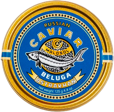 Белуга Белуга